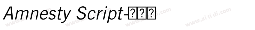 Amnesty Script字体转换 Amnesty Script字体转换